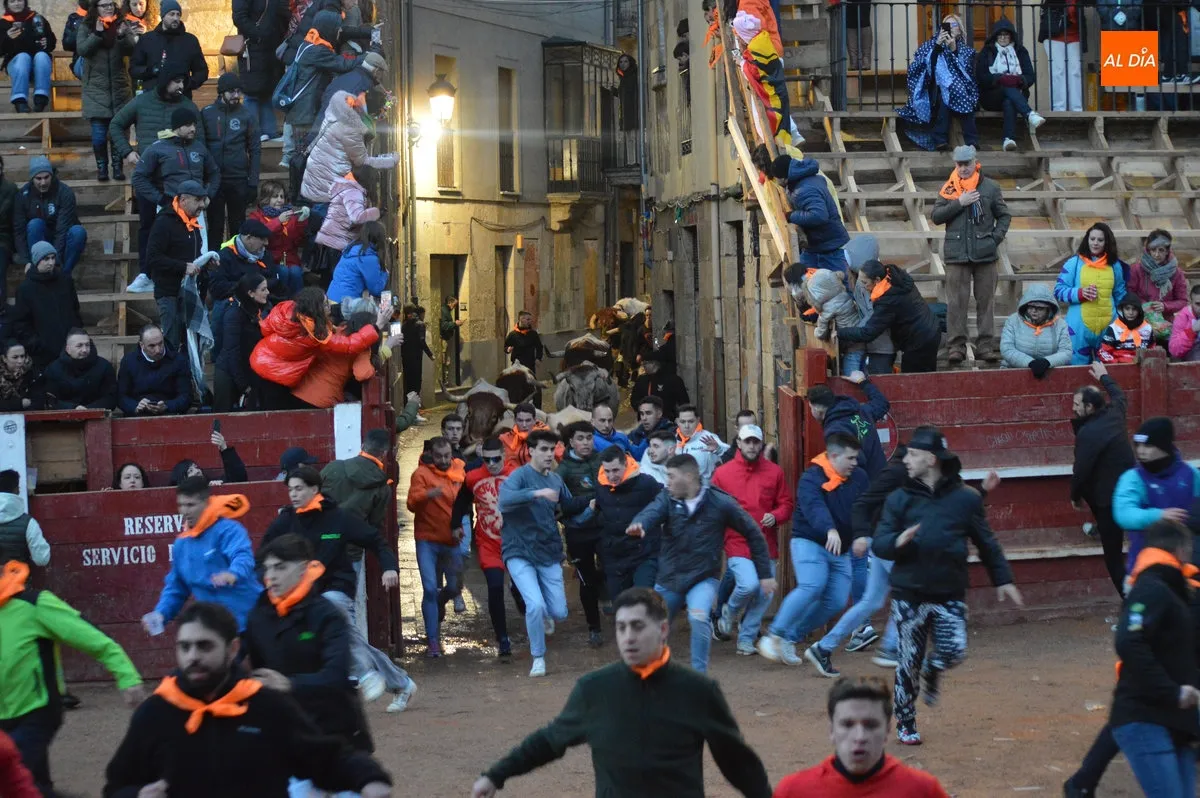 Foto 14 - Ciudad Rodrigo disfruta de un primer encierro de bueyes r&aacute;pido y limpio con el recorrido abarrotado