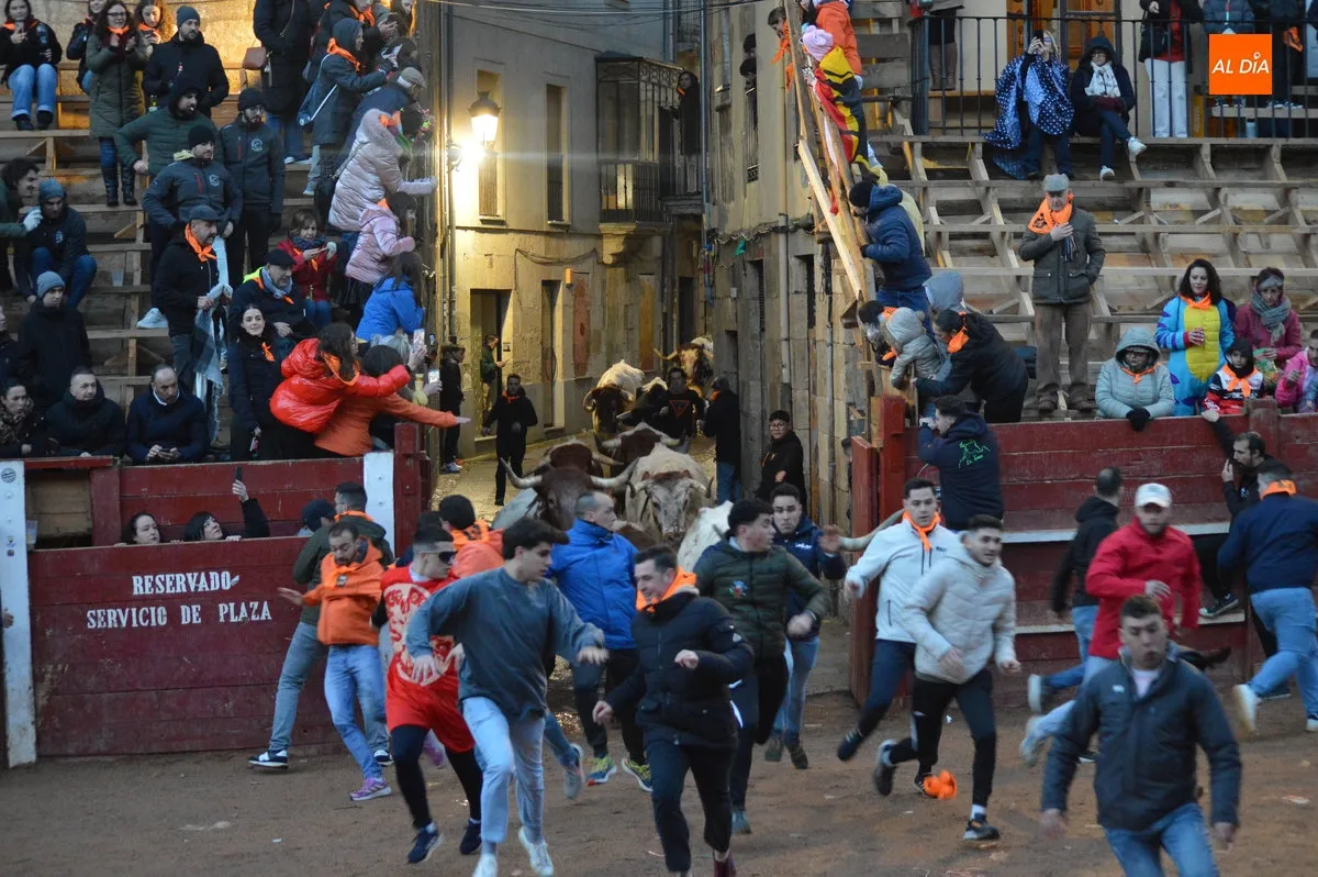 Foto 17 - Ciudad Rodrigo disfruta de un primer encierro de bueyes r&aacute;pido y limpio con el recorrido abarrotado