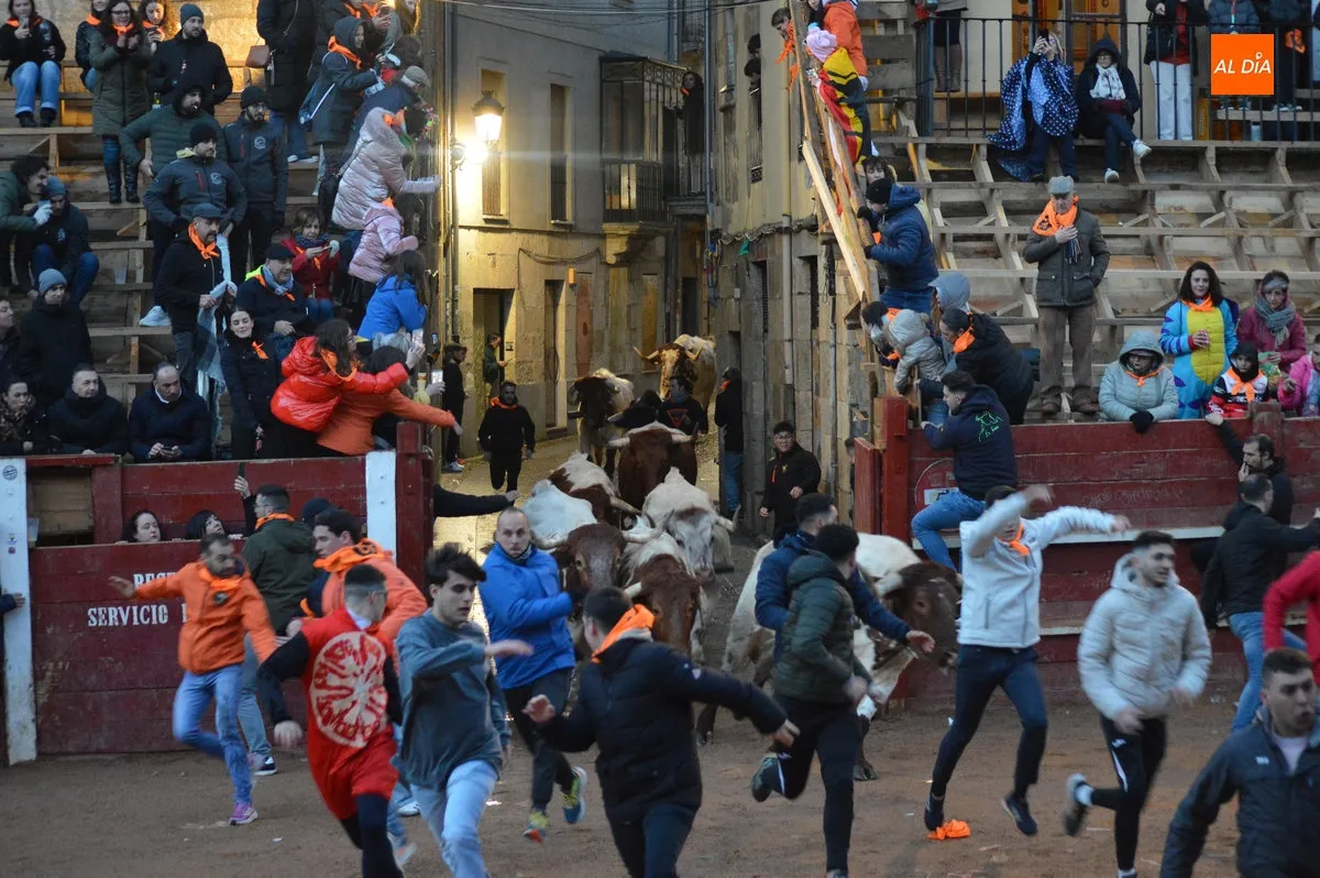 Foto 18 - Ciudad Rodrigo disfruta de un primer encierro de bueyes r&aacute;pido y limpio con el recorrido abarrotado