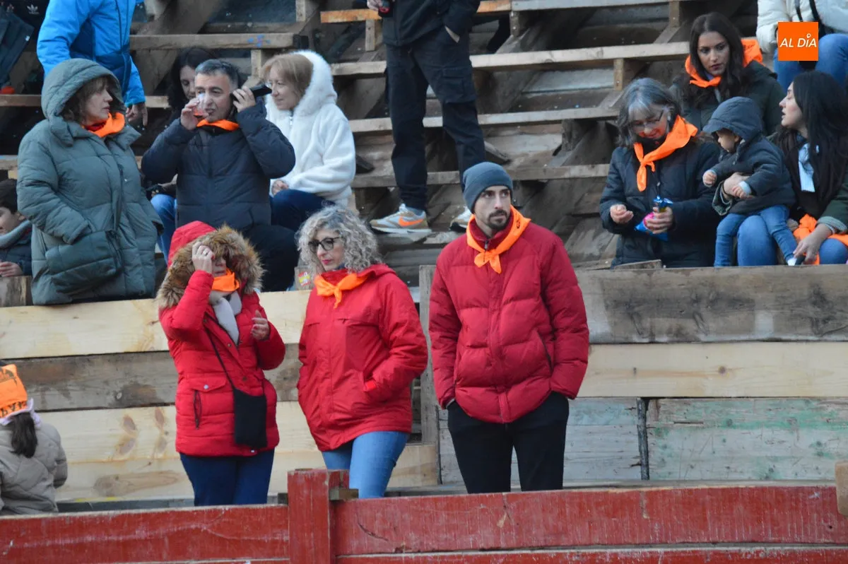 Foto 4 - Ciudad Rodrigo disfruta de un primer encierro de bueyes r&aacute;pido y limpio con el recorrido abarrotado