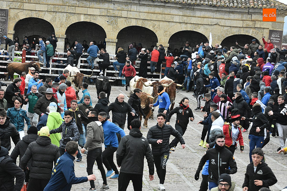 Ternepayo se adjudica la carne del Carnaval del Toro 2026 por 4,51 euros el kilo