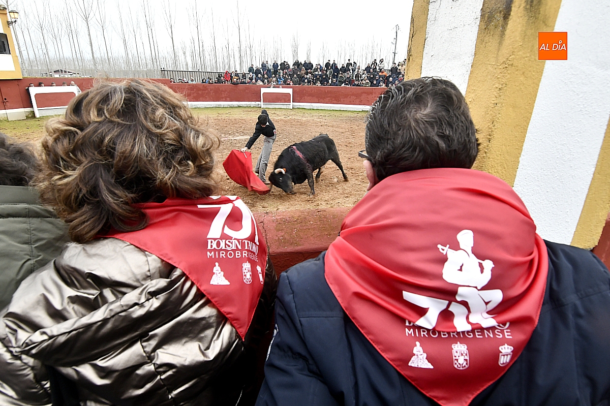 Final tienta Bolsín Taurino Mirobrigense 26