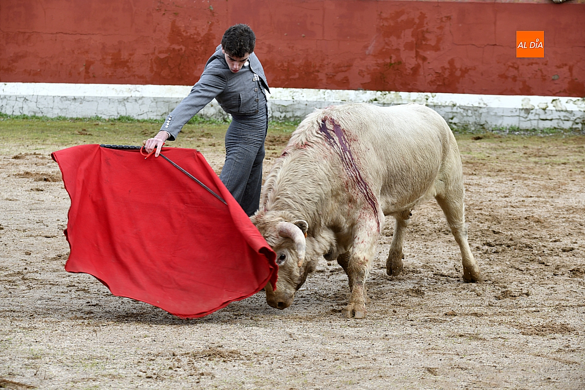 Valdeflores gana la final del Bolsín Taurino de Ciudad Rodrigo