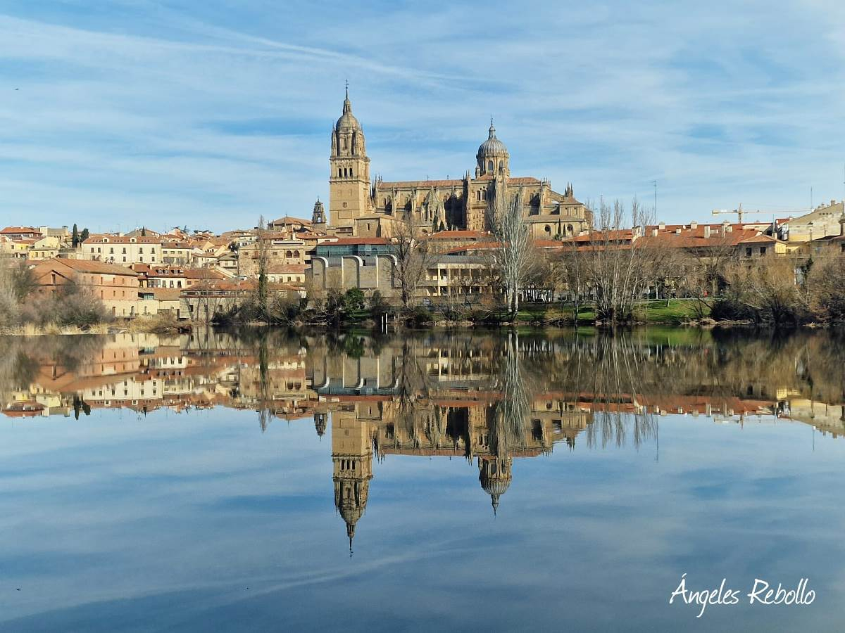 Un reflejo de ideas esenciales