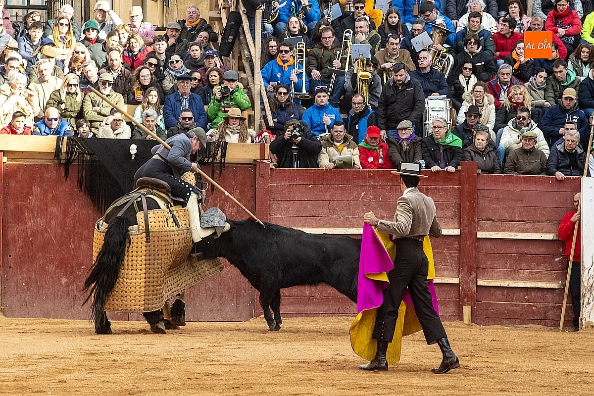 Festival martes Carnaval del Toro Ciudad Rodrigo