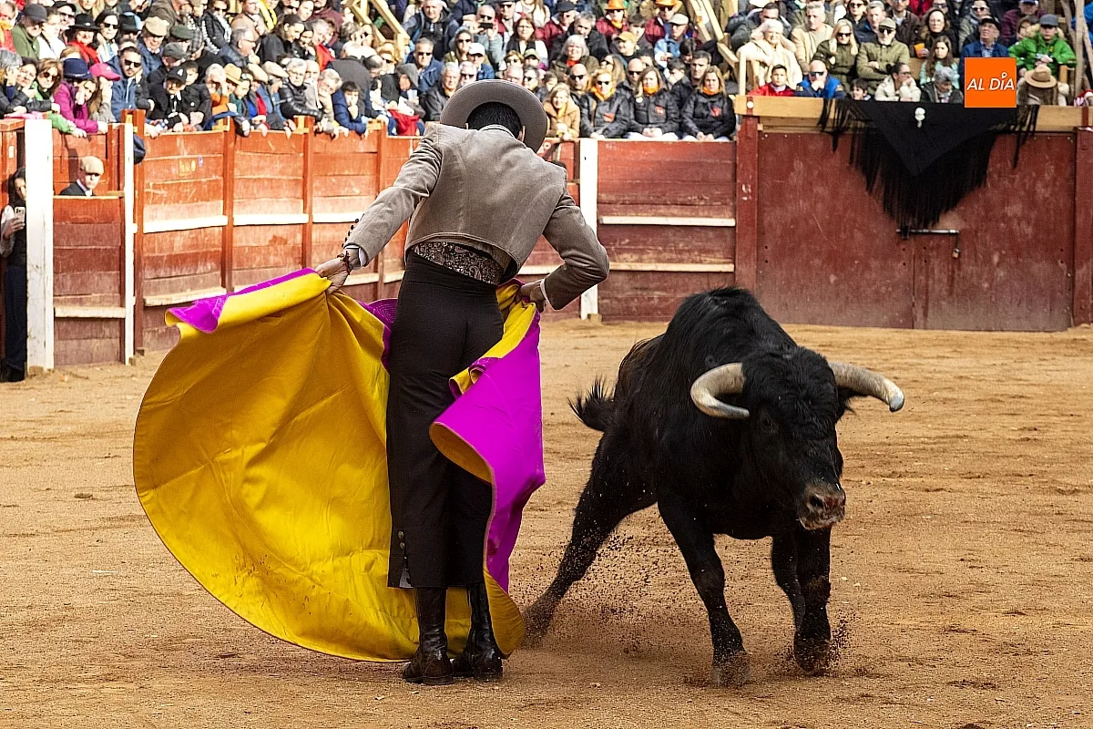 Festival martes Carnaval del Toro Ciudad Rodrigo