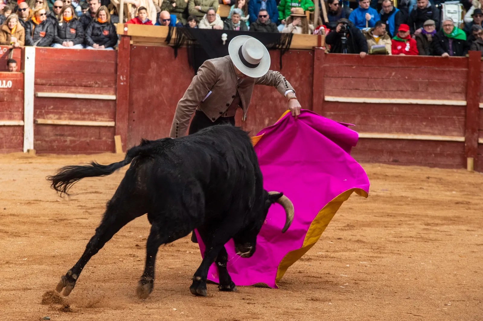 Festival martes Carnaval del Toro Ciudad Rodrigo