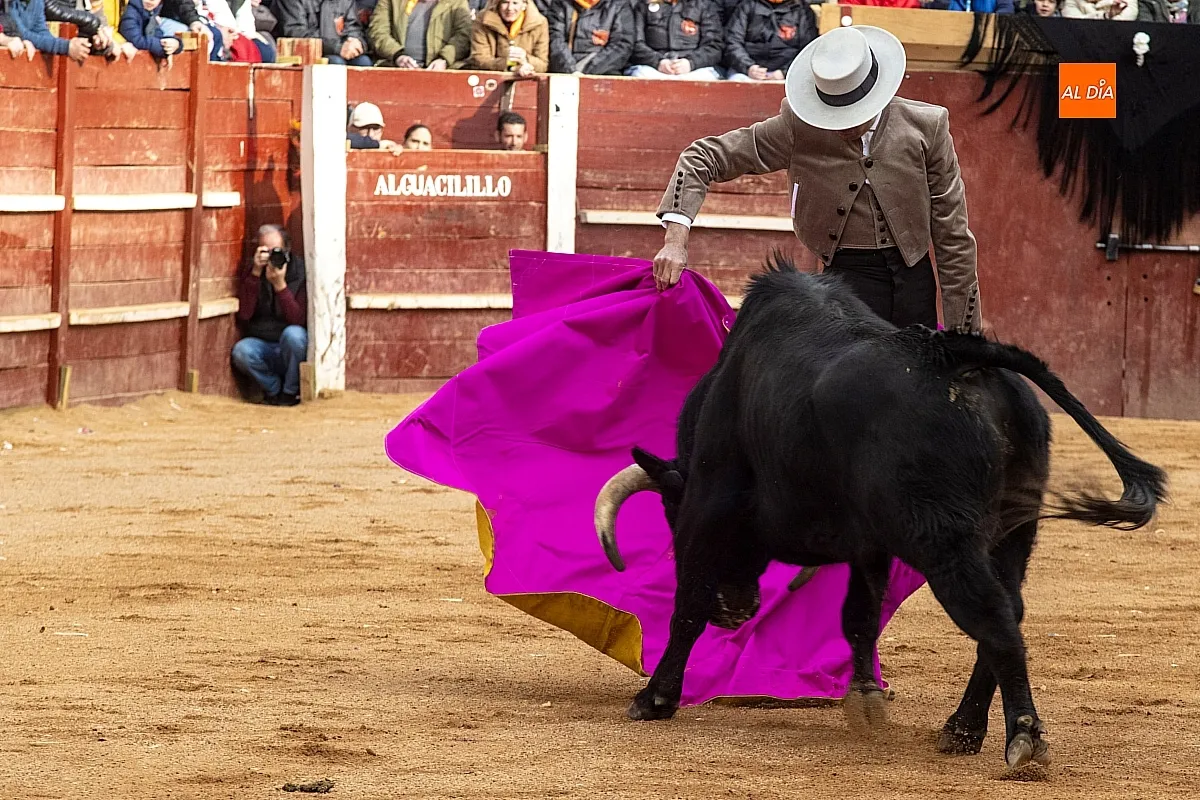 Festival martes Carnaval del Toro Ciudad Rodrigo