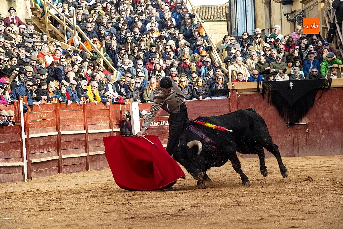 Premio al toro número 23 de la ganadería Hermanos Sánchez Herrero y la Mejor Faena para el torero Miguel Ángel Perera 