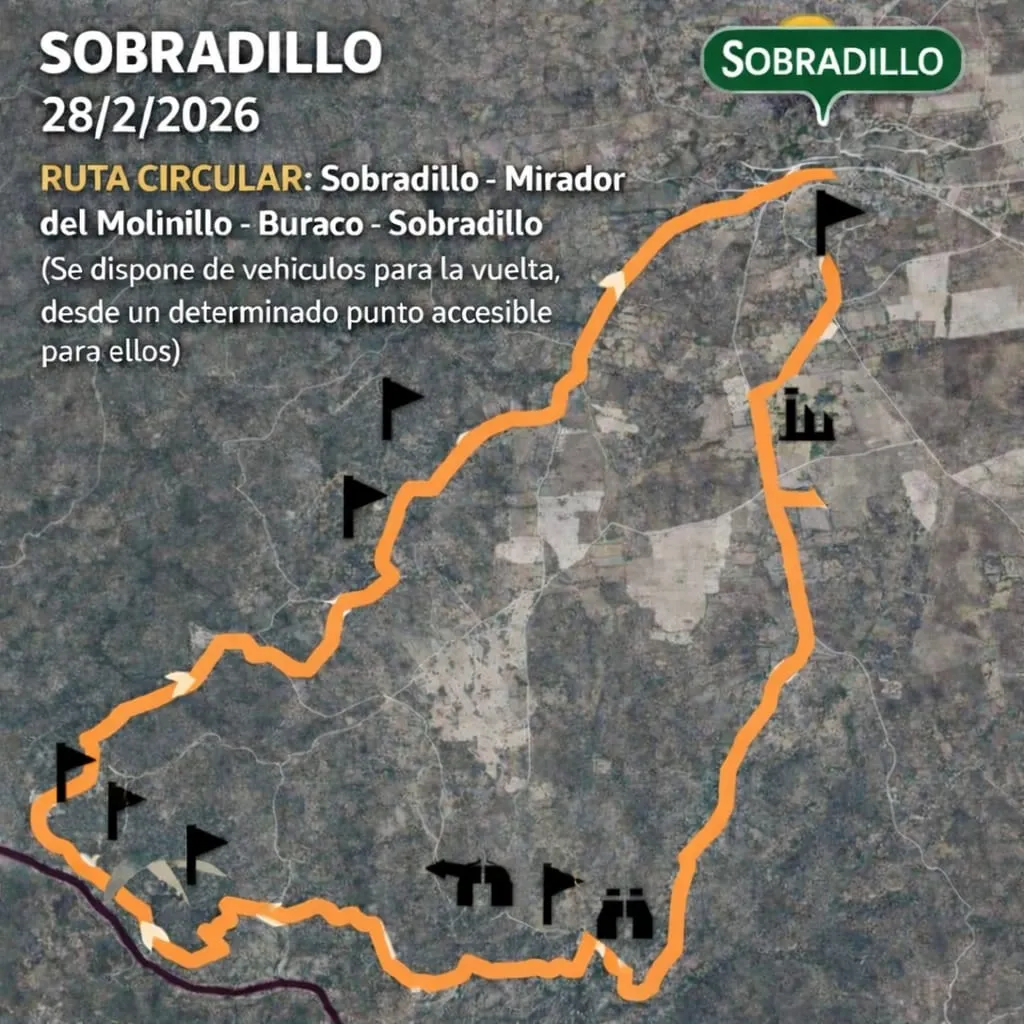 Foto 2 - Sobradillo organiza su IX Ruta de Senderismo de 14,5 kil&oacute;metros por el Mirador del Molinillo