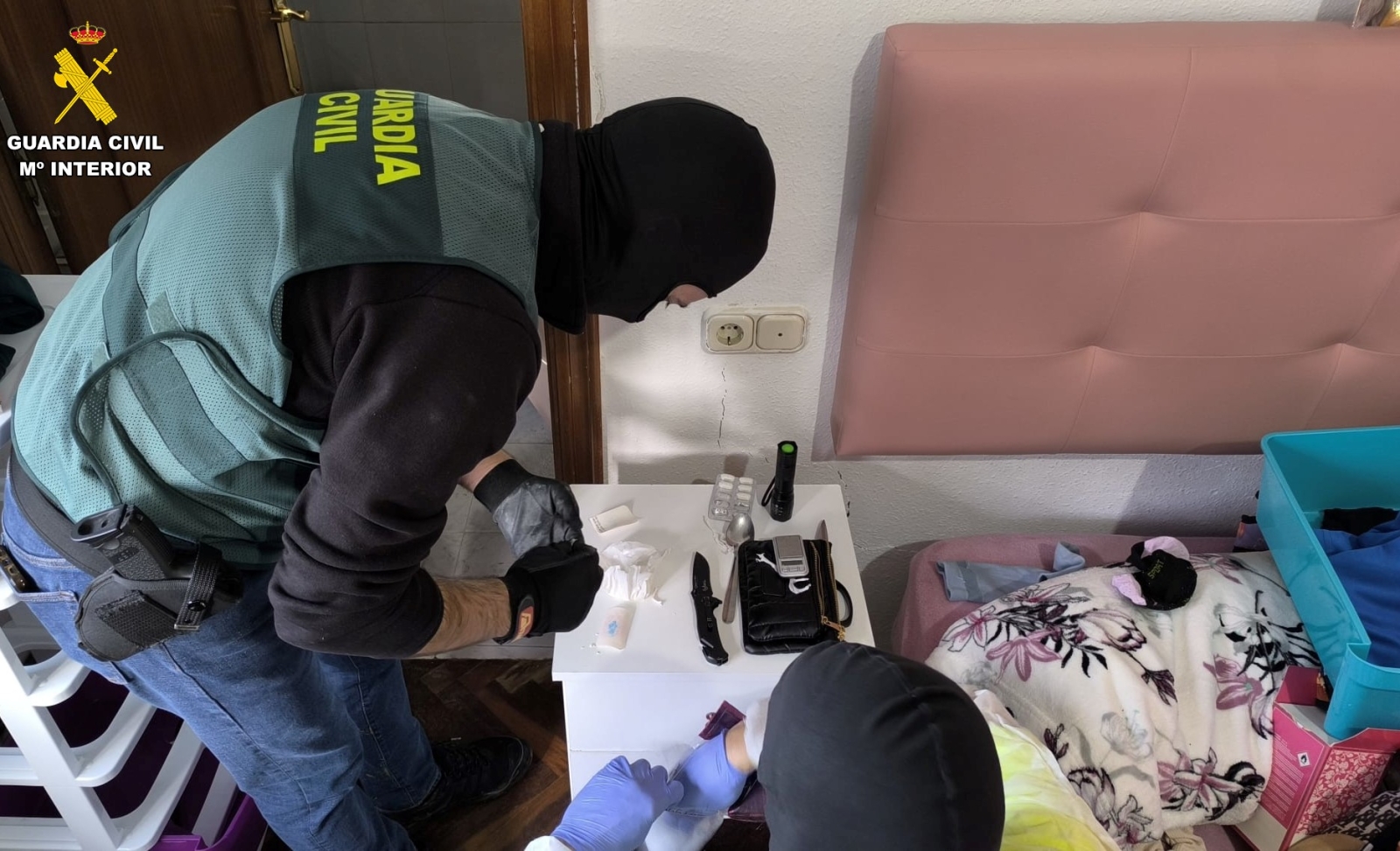 Prisión en Ciudad Rodrigo: incautadas 560 plantas de marihuana en la operación Grumetes