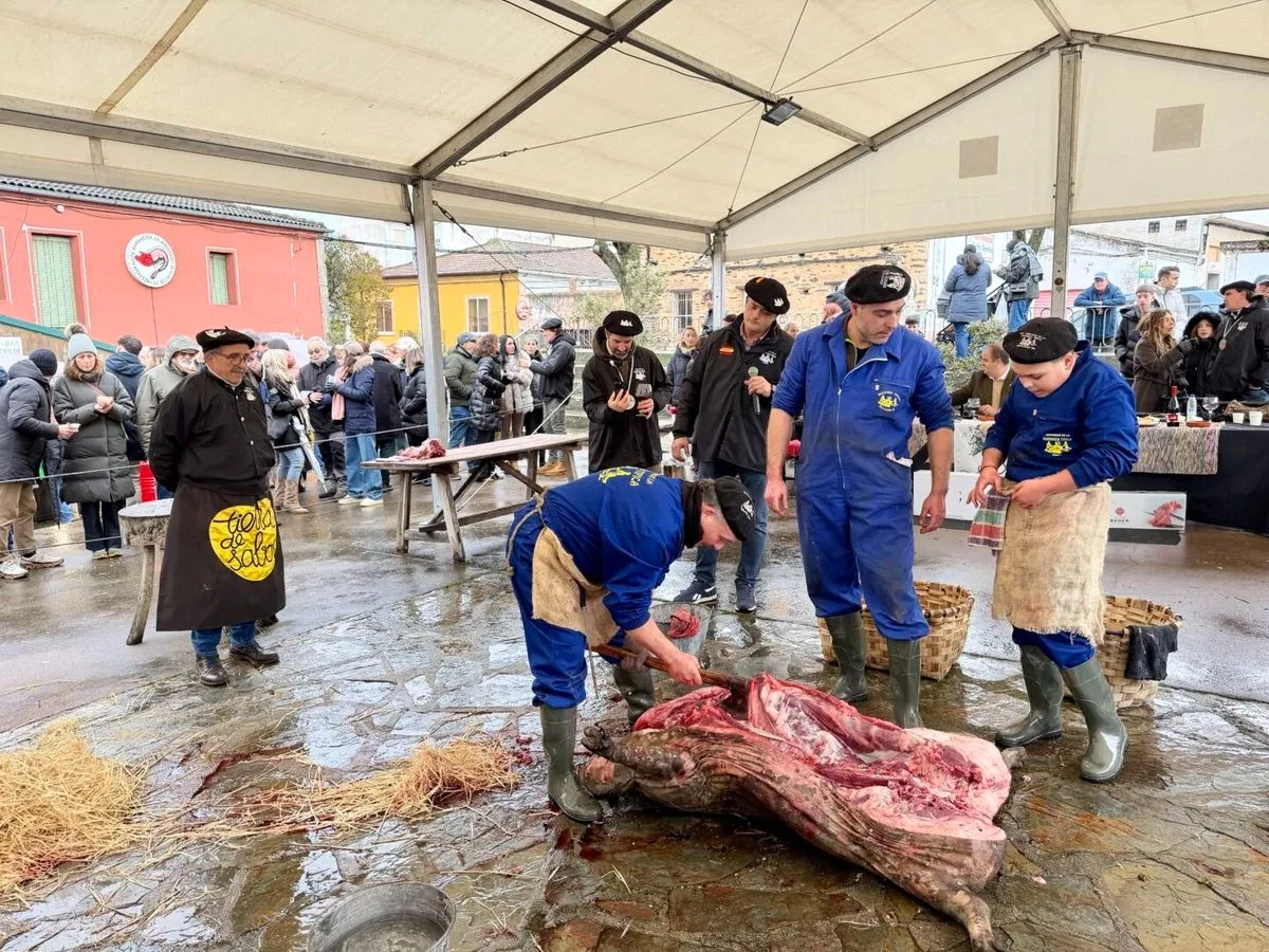 Foto 8 - Guijuelo arranca su XL Matanza T&iacute;pica con la primera jornada dedicada al gremio chacinero (Fotos) 