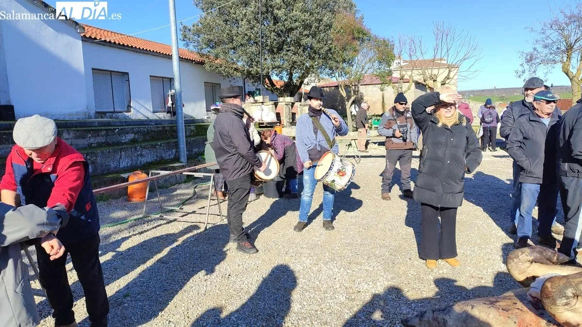 Fiesta de la Matanza Tradicional en Cipérez / CORRAL