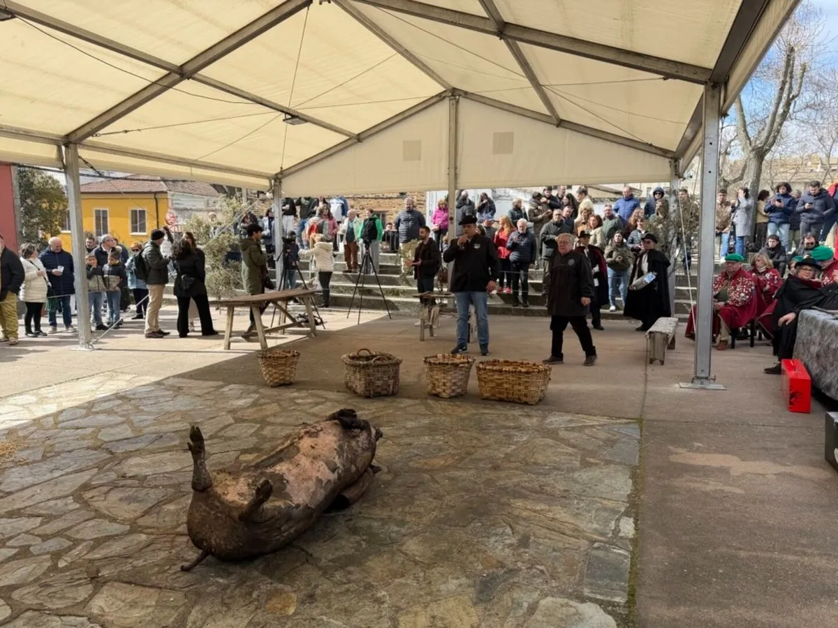 Foto 3 - La Matanza de Guijuelo cierra su 40 aniversario exaltando la tradici&oacute;n arriera y gastron&oacute;mica (Fotos)