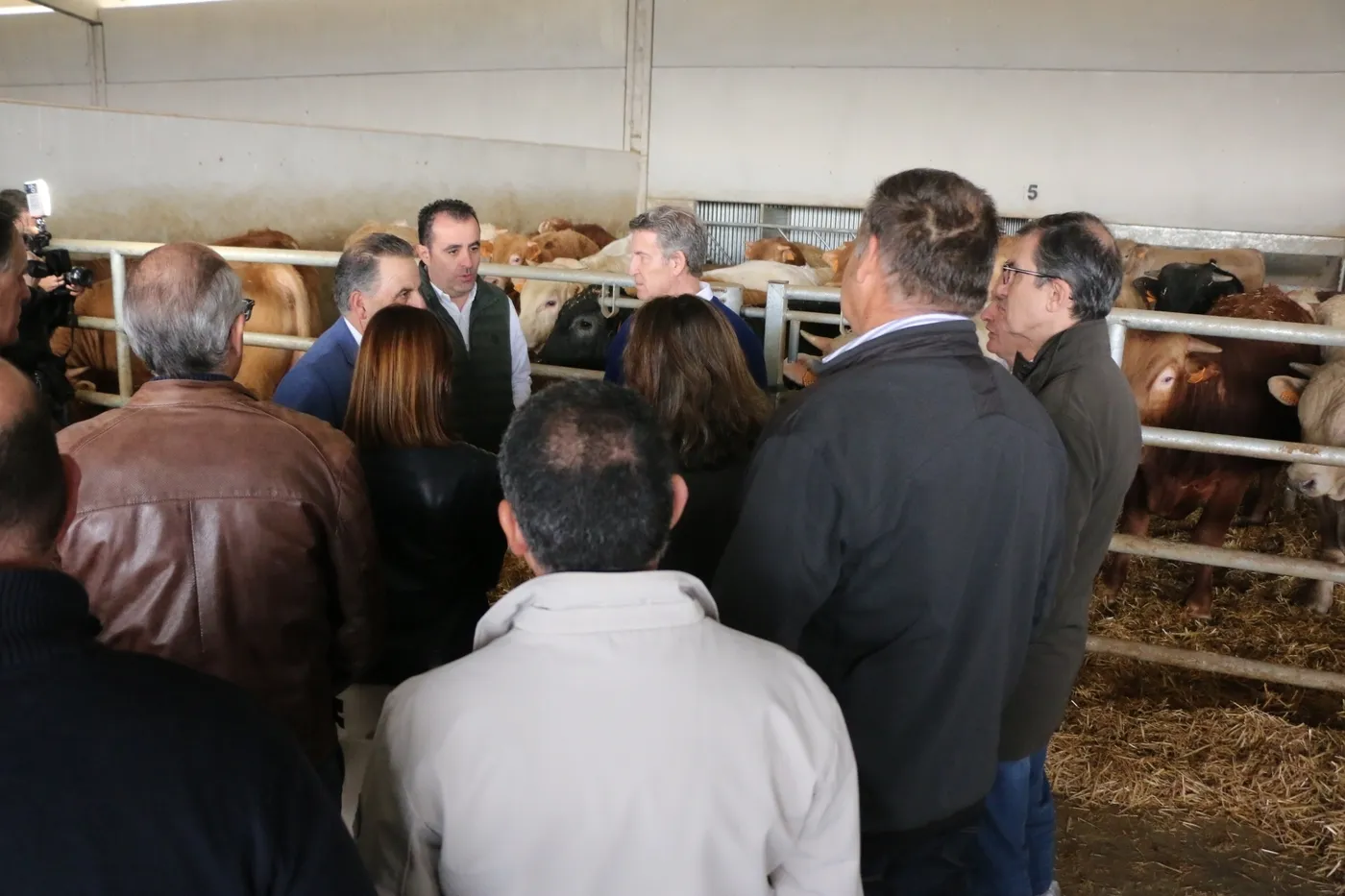 Encuentro de Núñez Feijóo con ganaderos en las instalaciones de Dehesa Grande en Vitigudino  