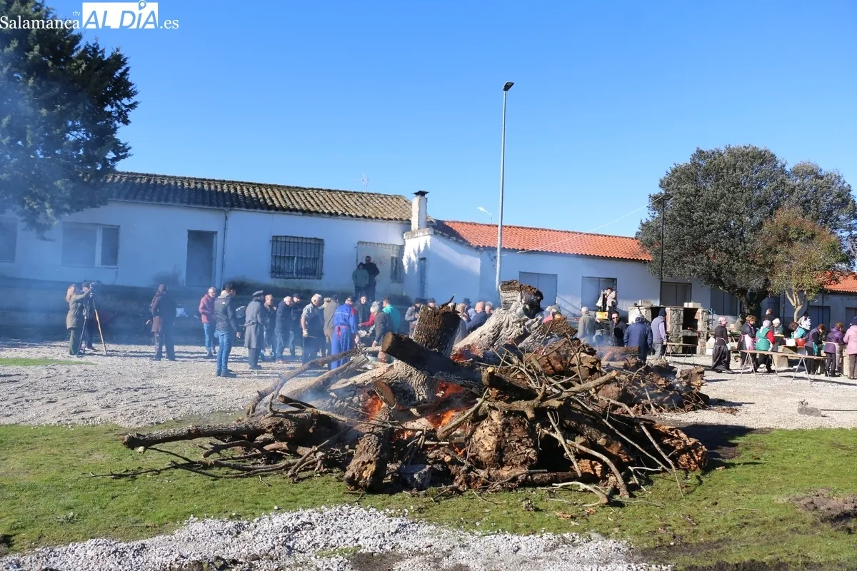 Fiesta de la Matanza Tradicional en Cipérez / CORRAL