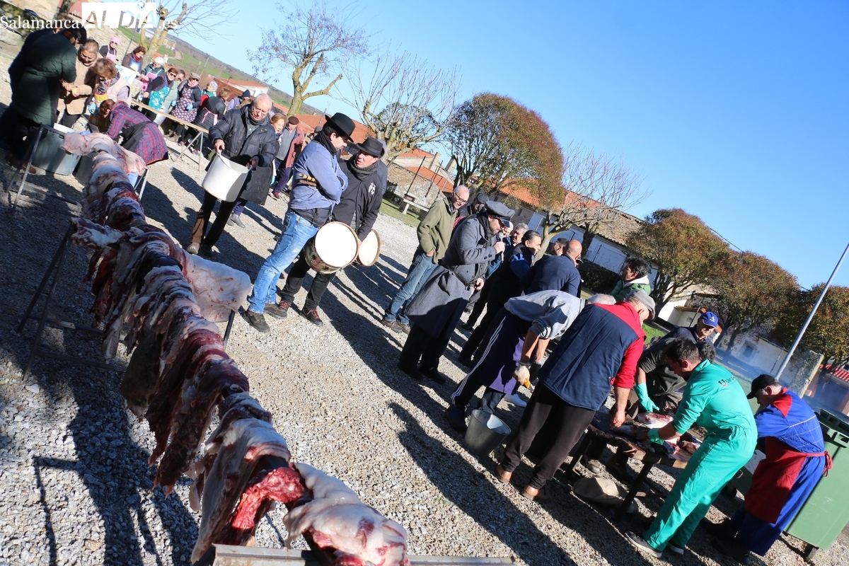 Gran ambiente en la VIII Fiesta de la Matanza de Cipérez