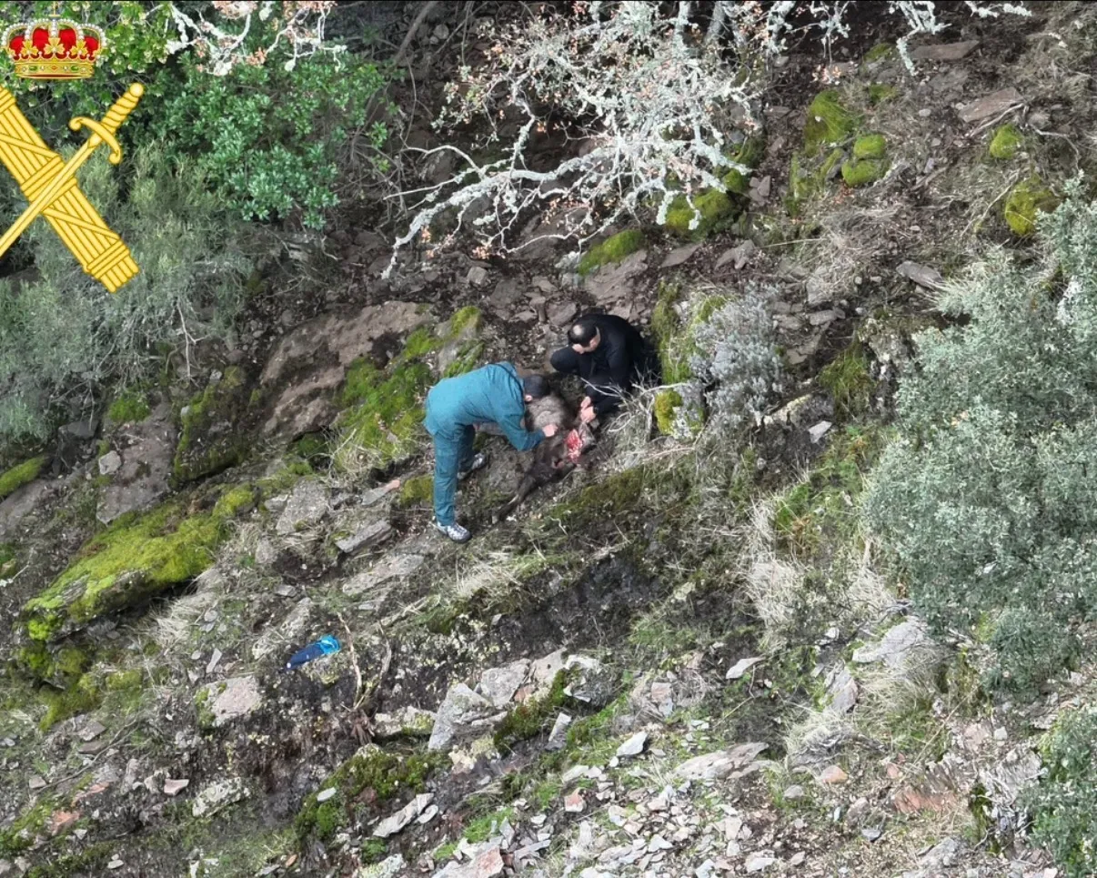 Investigan a un cazador en Lagunilla por abatir una cabra montés y tirar la cabeza en el pueblo | FOTO: Perfil de Instagram GCSalamanca