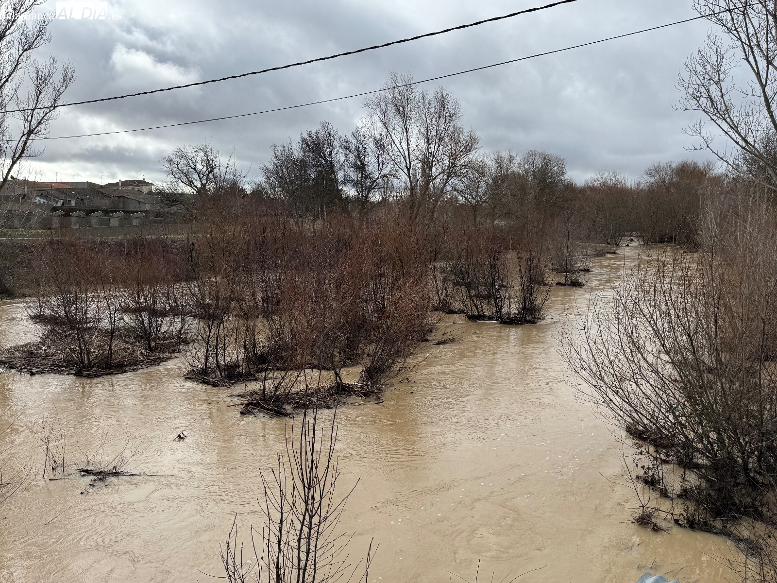 Ni hacen ni dejan hacer: La repetida denuncia de vecinos y ayuntamientos por el abandono de los cauces de los ríos