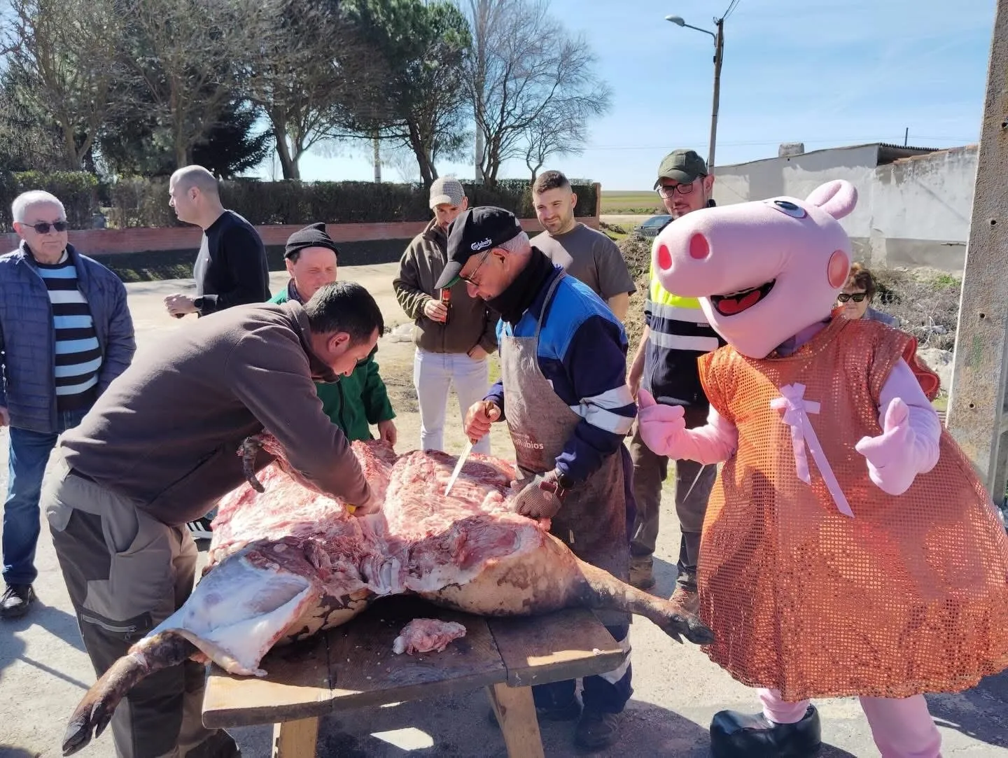 Matanza Tradicional en Palaciosrubios. Fotos Diputación