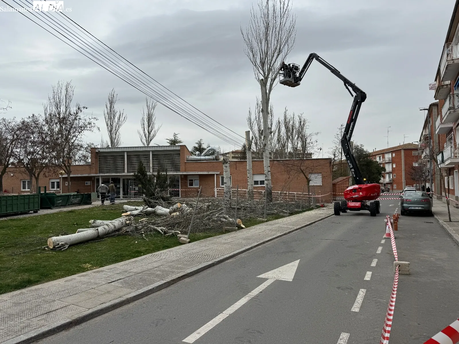 Foto 2 - La ampliaci&oacute;n del Centro de Salud de Pe&ntilde;aranda obliga a talar parte de sus &aacute;rboles hist&oacute;ricos