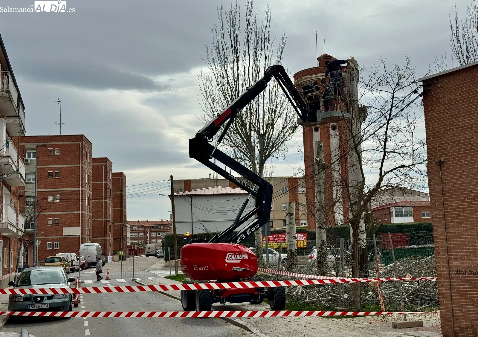 Foto 4 - La ampliaci&oacute;n del Centro de Salud de Pe&ntilde;aranda obliga a talar parte de sus &aacute;rboles hist&oacute;ricos