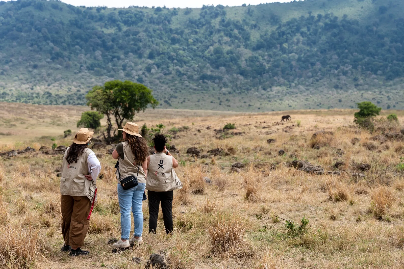 Viaje a Tanzania en la décima edición del programa global Homeward Bound 