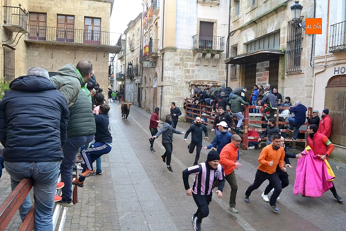 Foto 5 - Los 6 toros de la ganader&iacute;a Hermanos S&aacute;nchez realizan el encierro de martes de carnaval 
