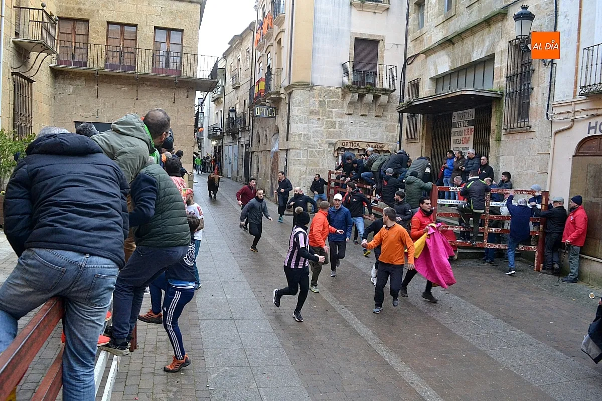Foto 4 - Los 6 toros de la ganader&iacute;a Hermanos S&aacute;nchez realizan el encierro de martes de carnaval 