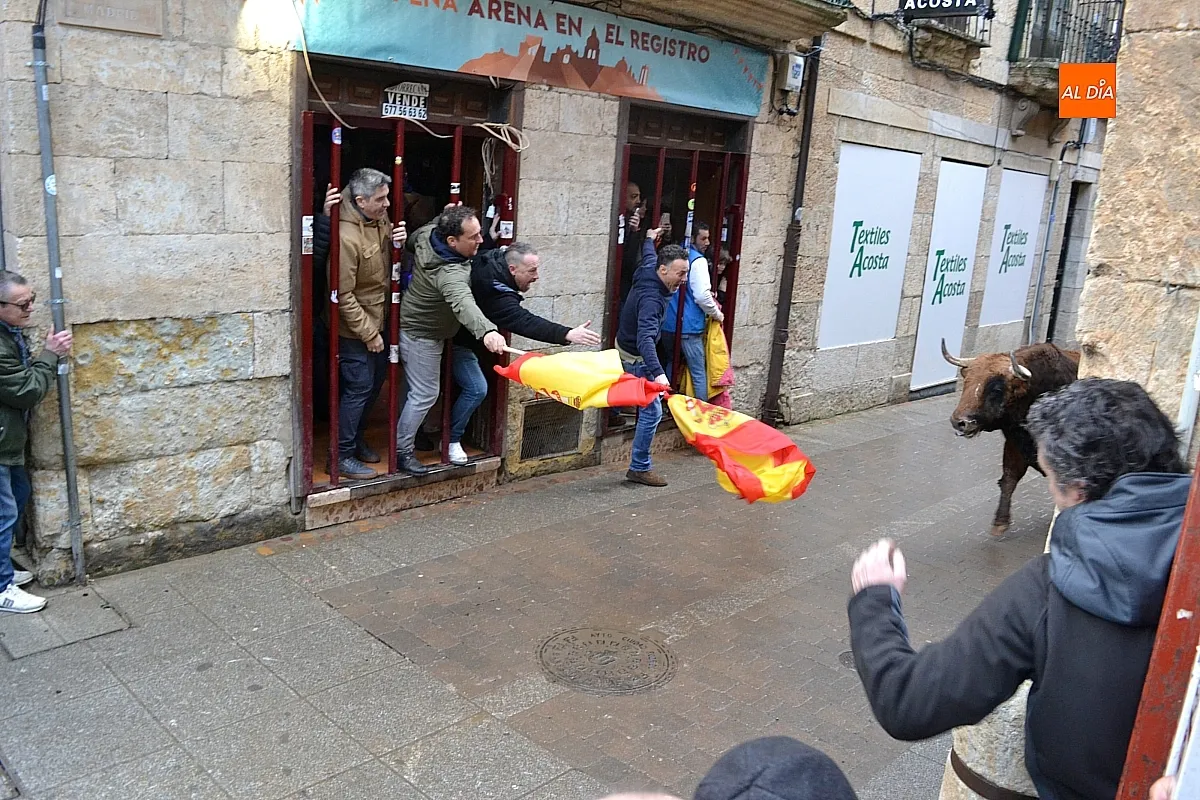 Foto 3 - Los 6 toros de la ganader&iacute;a Hermanos S&aacute;nchez realizan el encierro de martes de carnaval 