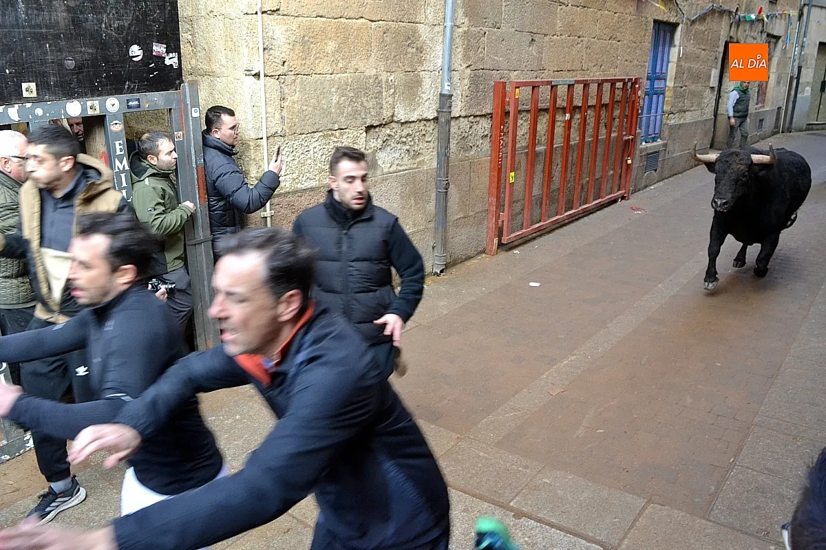 Foto 11 - Los 6 toros de la ganader&iacute;a Hermanos S&aacute;nchez realizan el encierro de martes de carnaval 
