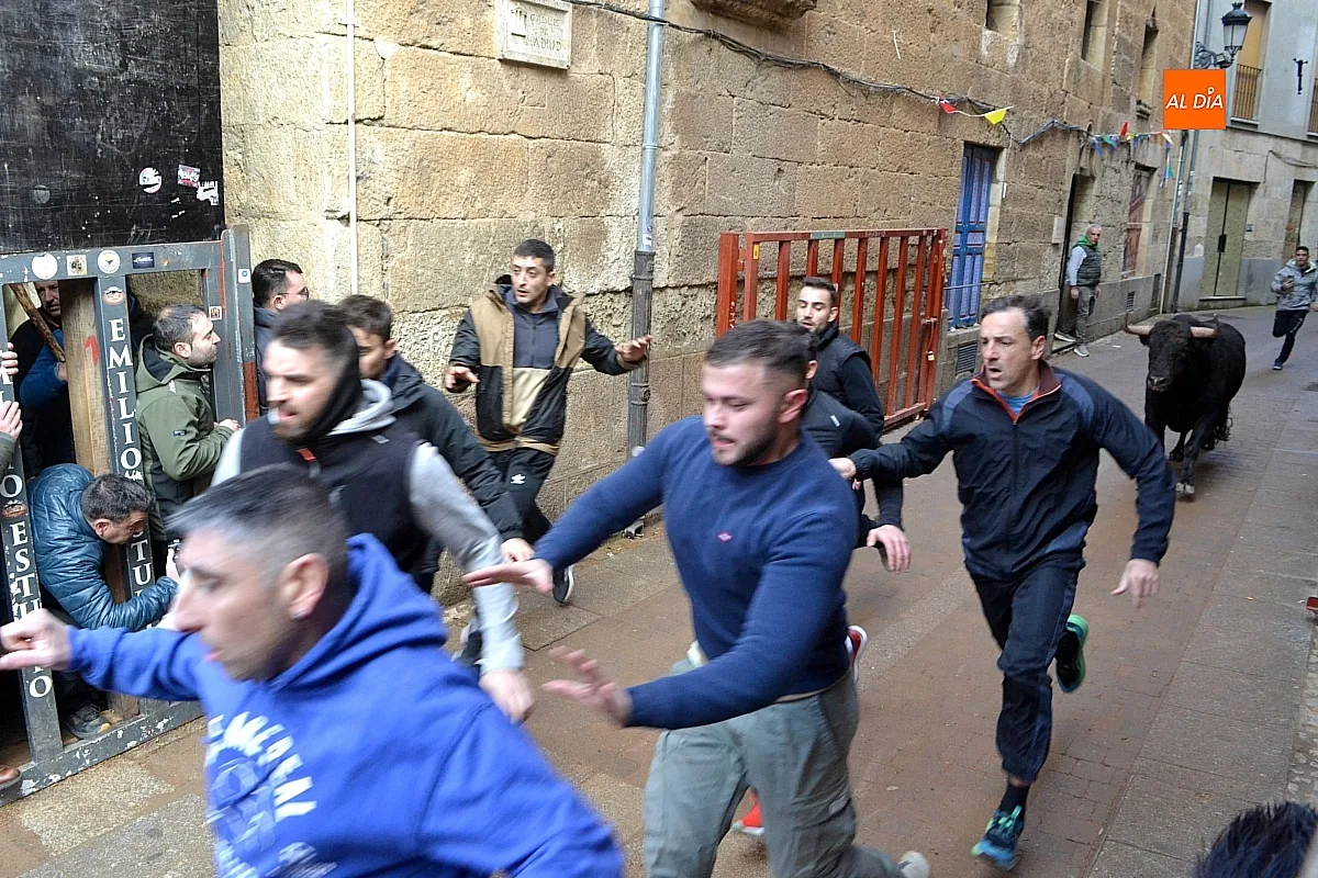 Foto 10 - Los 6 toros de la ganader&iacute;a Hermanos S&aacute;nchez realizan el encierro de martes de carnaval 