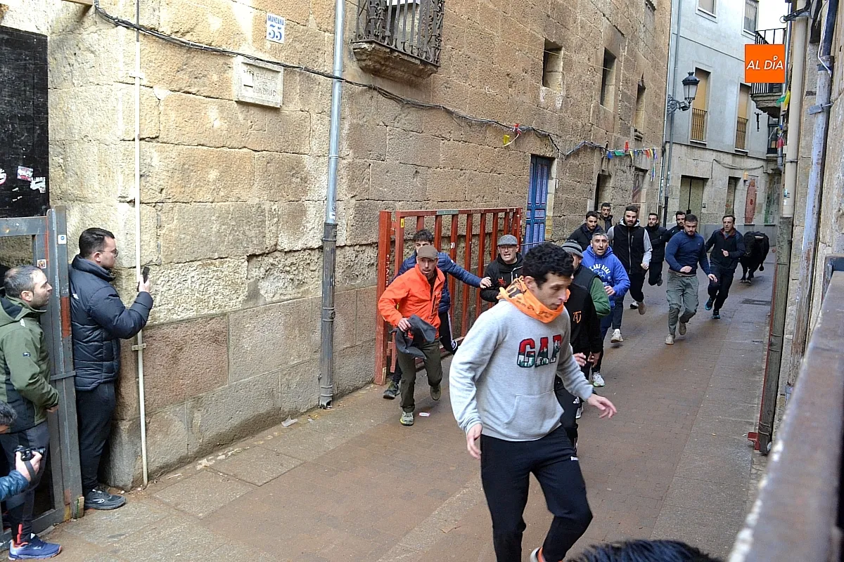 Foto 9 - Los 6 toros de la ganader&iacute;a Hermanos S&aacute;nchez realizan el encierro de martes de carnaval 