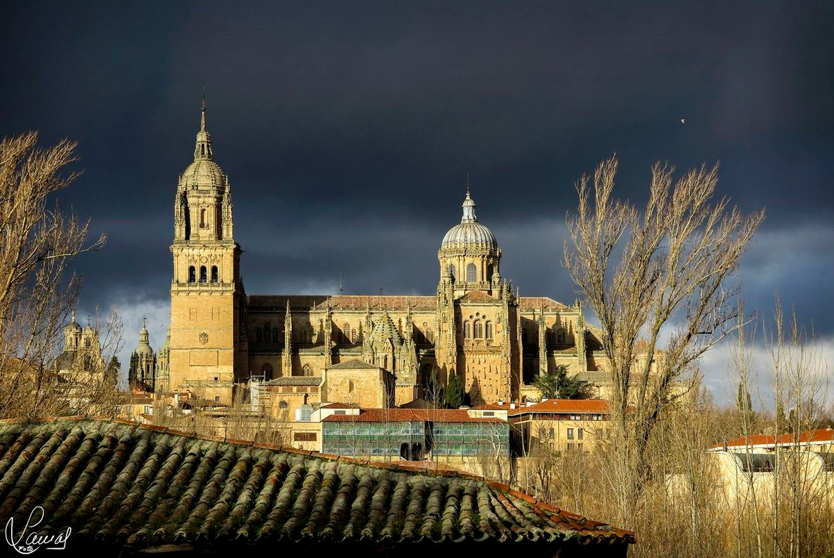 Catedrales de Salamanca