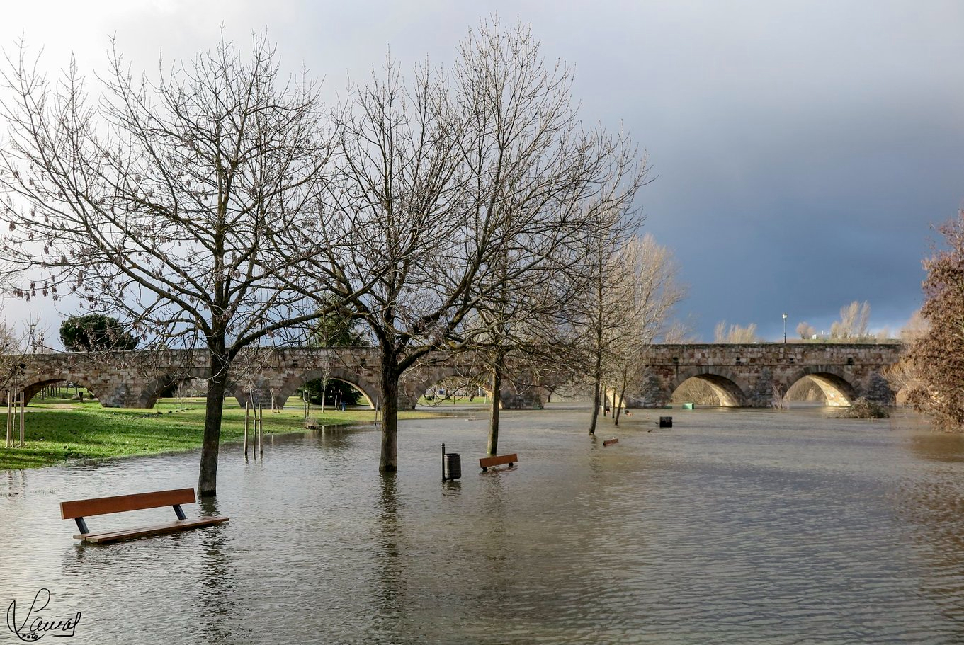 Crecida del río Tormes en Salamanca 