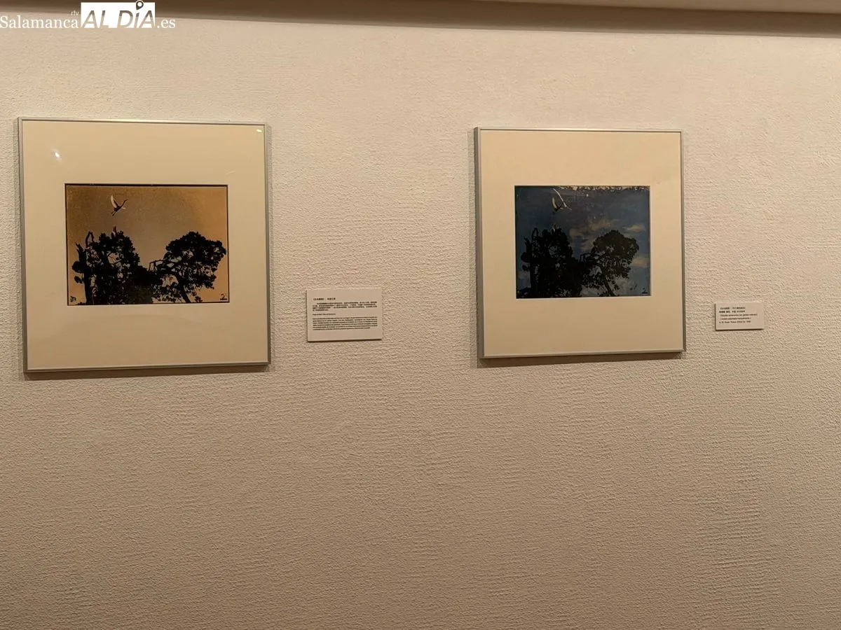 El Palacio de Garcigrande inaugura la muestra 'Corazón entre espejos', que reúne la obra del histórico fotógrafo chino Guo Xiqí y su bisnieta Ruan Sijie. Foto V. M.