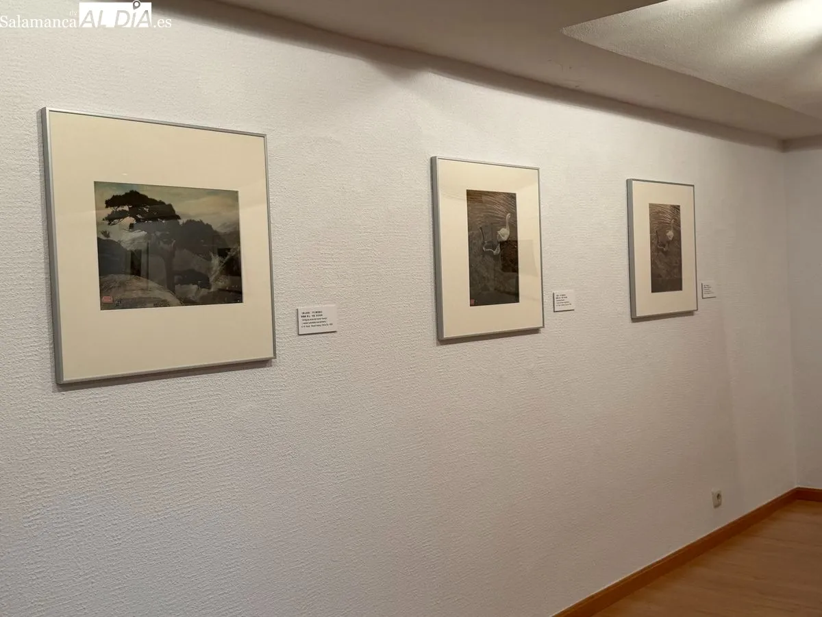 El Palacio de Garcigrande inaugura la muestra 'Corazón entre espejos', que reúne la obra del histórico fotógrafo chino Guo Xiqí y su bisnieta Ruan Sijie. Foto V. M.