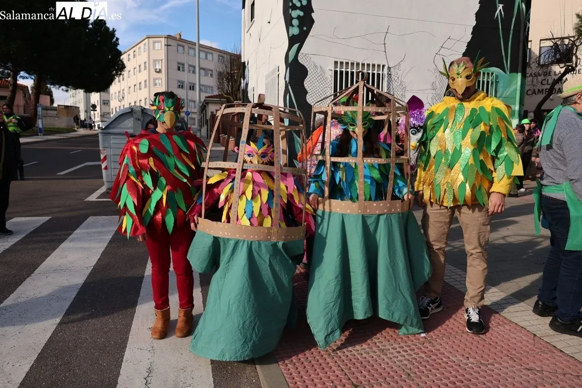 Desfile de Carnaval organizado por el Consejo Social del Rollo. Foto: David Sañudo
