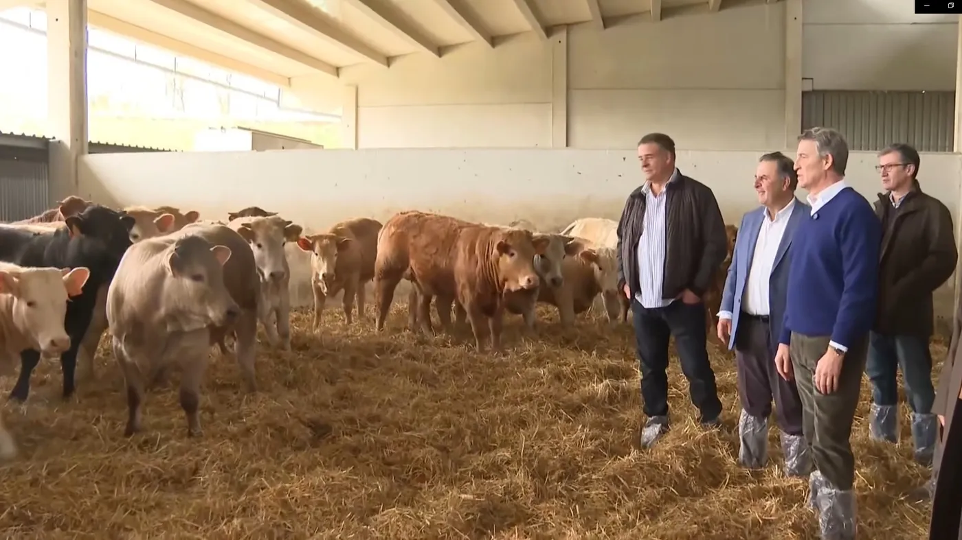 Encuentro de Núñez Feijóo con ganaderos en las instalaciones de Dehesa Grande en Vitigudino  