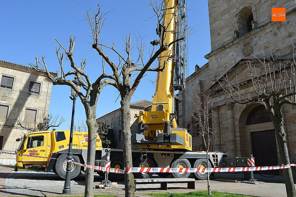 Foto 9 - La di&oacute;cesis repara la cornisa de la Catedral tras el desprendimiento de varias piedras 