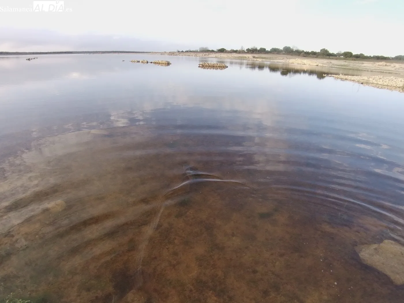Pesca a mosca de carpas y barbos en la presa de Almendra / CORRAL
