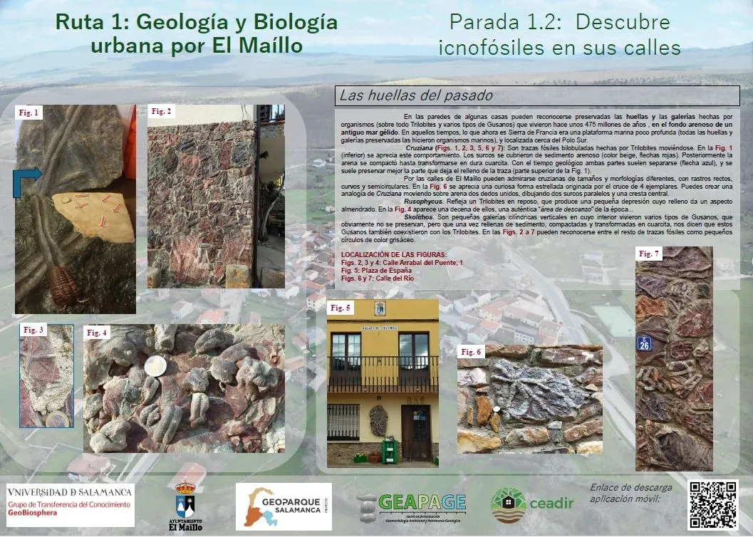 4 geobirutas del Maillo 