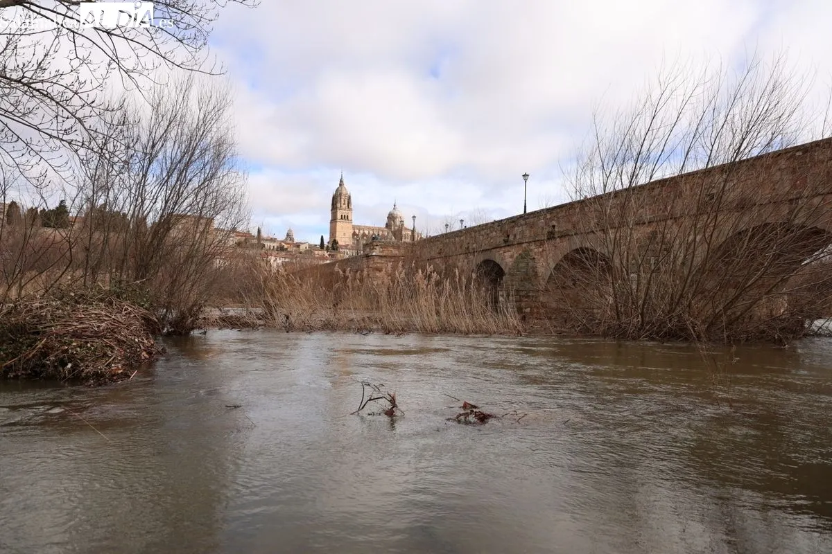 Ambiente en Salamanca este domingo, en el que numerosas personas se han acercado al Puente Romano para ver la crecida del río