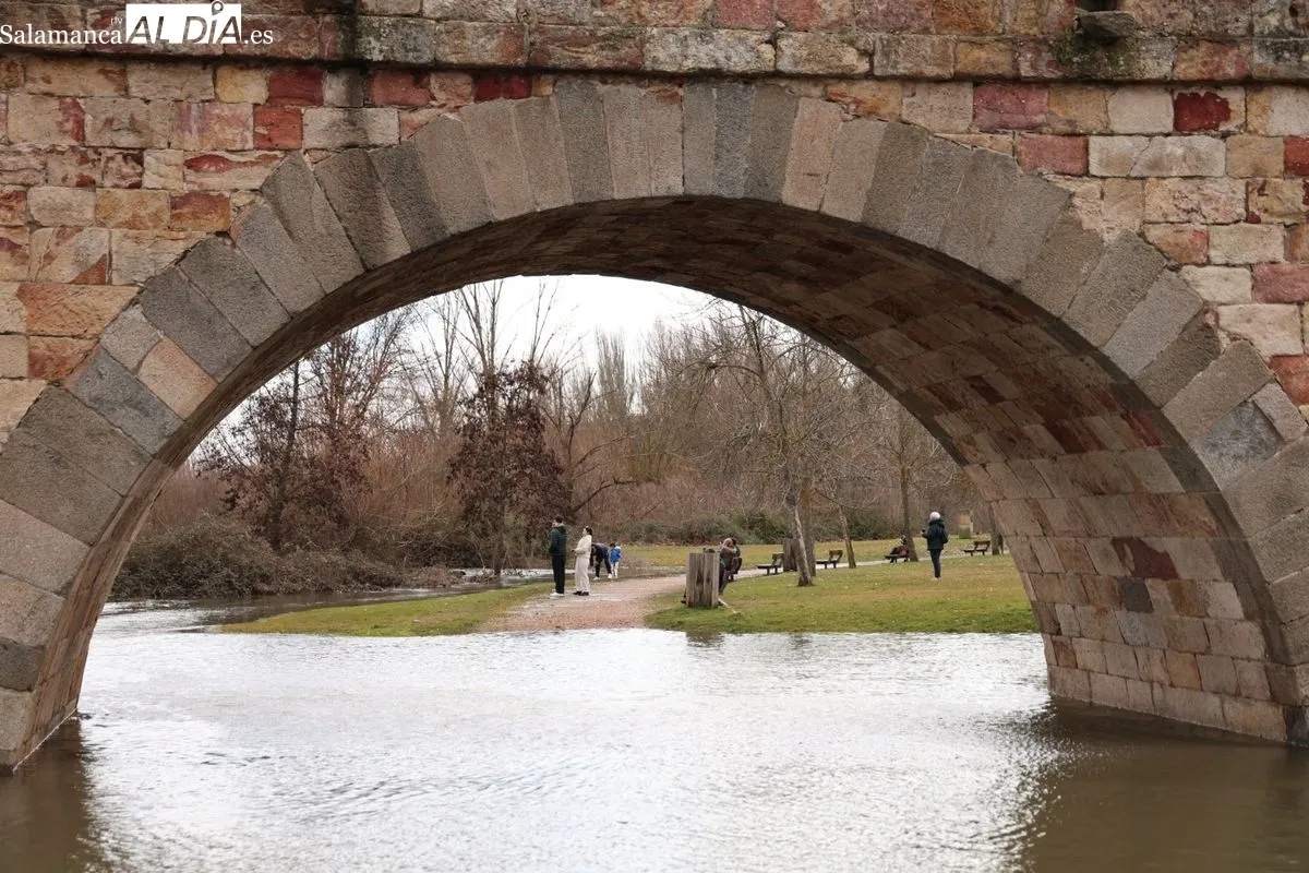 Ambiente en Salamanca este domingo, en el que numerosas personas se han acercado al Puente Romano para ver la crecida del río