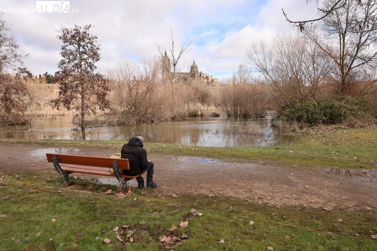 Ambiente en Salamanca este domingo, en el que numerosas personas se han acercado al Puente Romano para ver la crecida del río