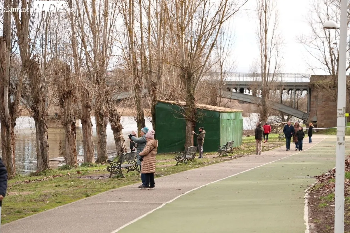 Ambiente en Salamanca este domingo, en el que numerosas personas se han acercado al Puente Romano para ver la crecida del río