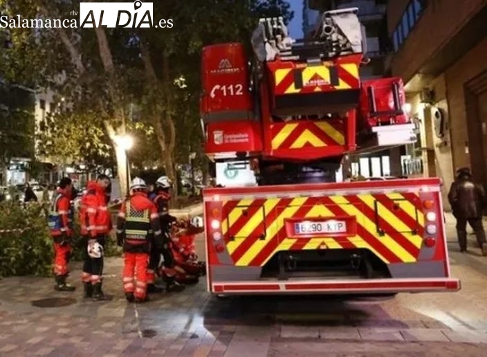 Susto en el centro de Salamanca: cae un ciprés en la plaza de San Román