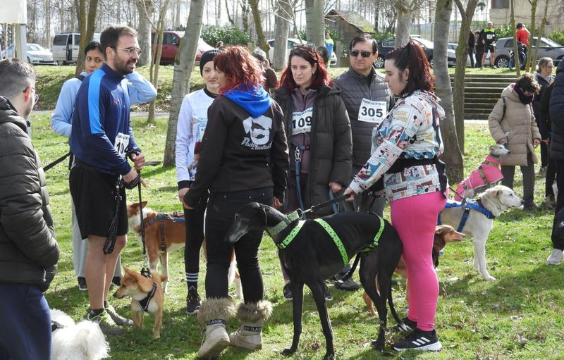 V Canicross Alba de Tormes: inscripciones y horarios