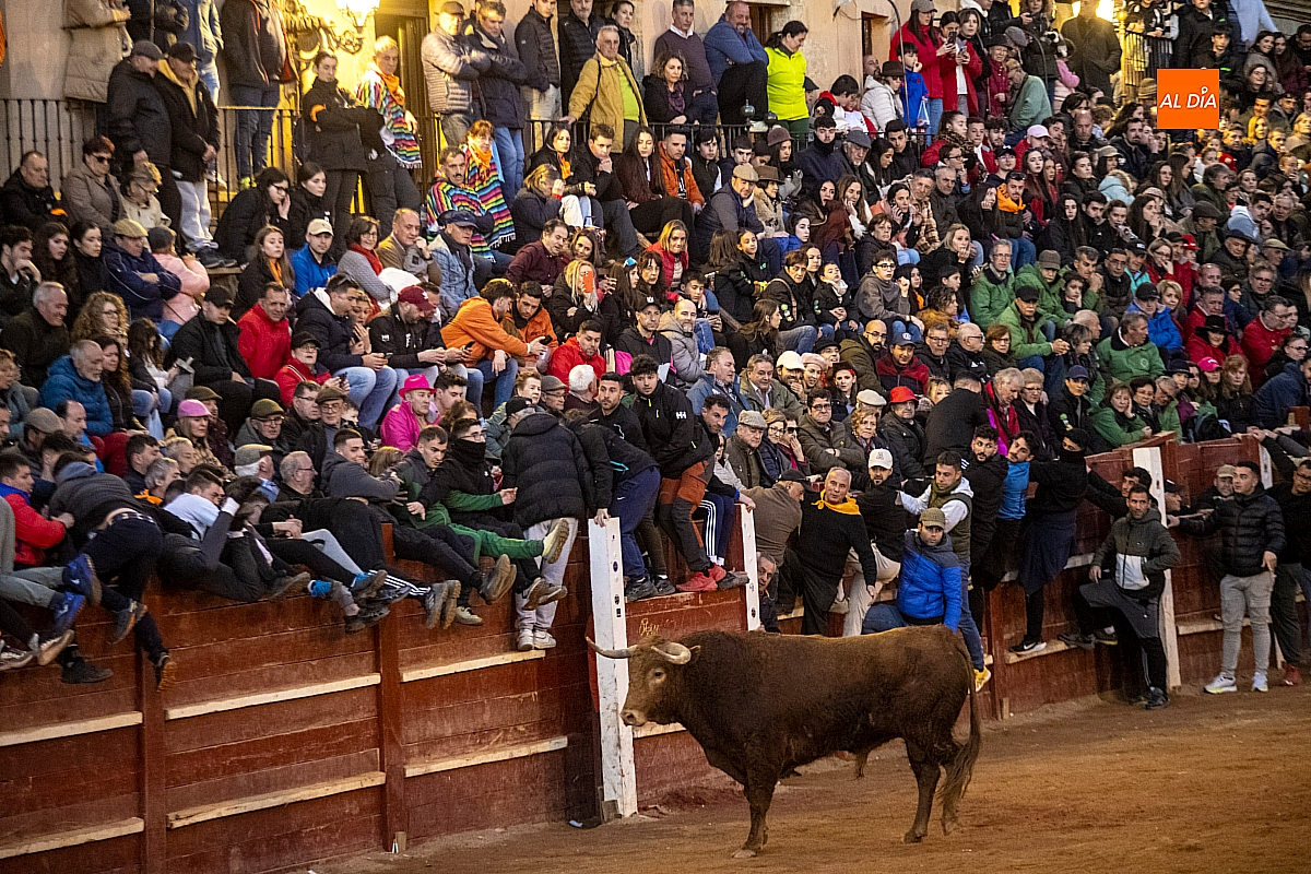 Emoción y respeto ante los Sánchez Herrero en la última capea del Carnaval del Toro 2026