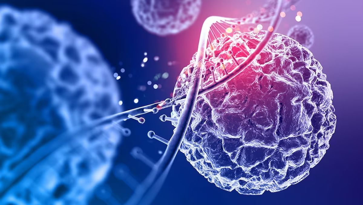 Curso de enfermería sobre terapia CAR-T en Salamanca: avances contra el cáncer